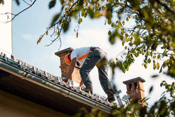 Best Roof Repair  in Ridgeway, VA