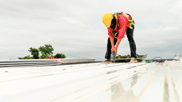 Best Roof Maintenance and Cleaning  in Ridgeway, VA